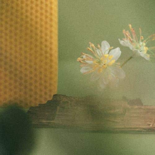 C.G. 淡香水 10ml