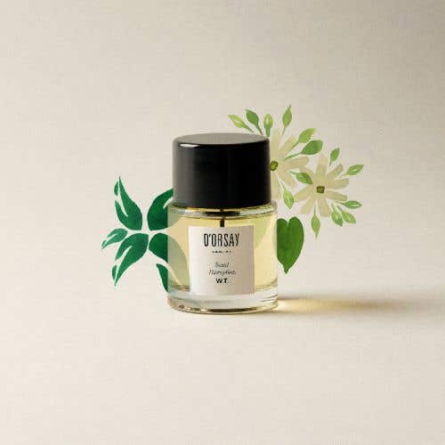 W.T. 淡香精 50ml